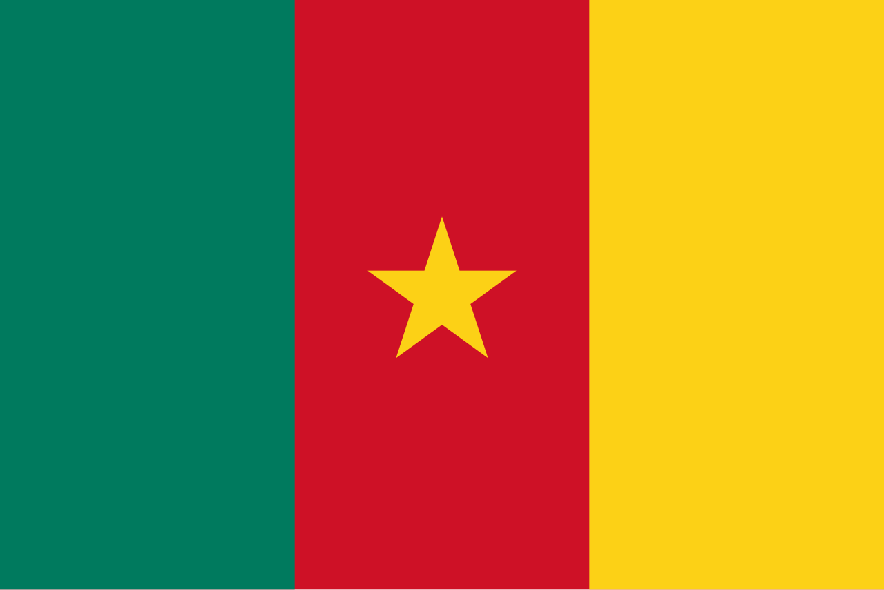 Flag of Cameroon